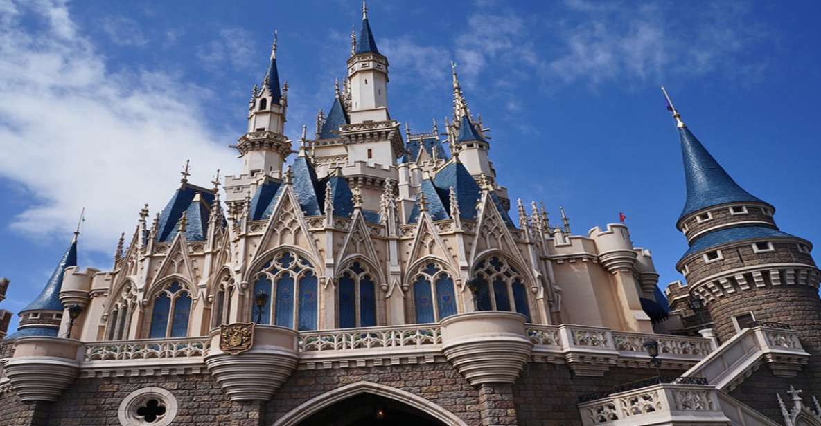 Tokyo Disneyland: 1-Day Entry Ticket and Private Transfer - Private Transfer Arrangements