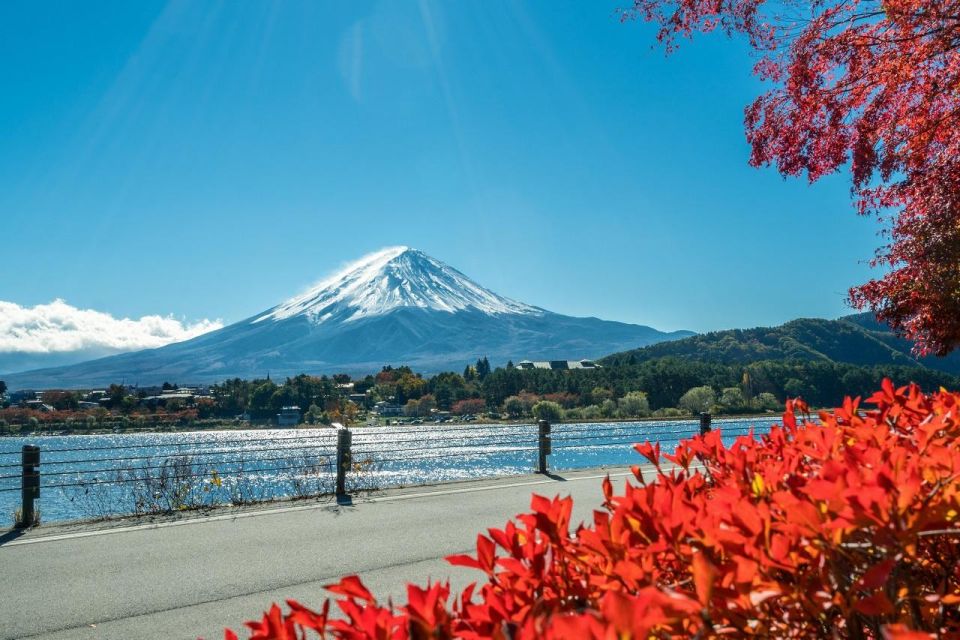 Tokyo: Mt.Fuji, Hakone Ropeway, and Oshino Hakkai Day Tour - Inclusions and Exclusions