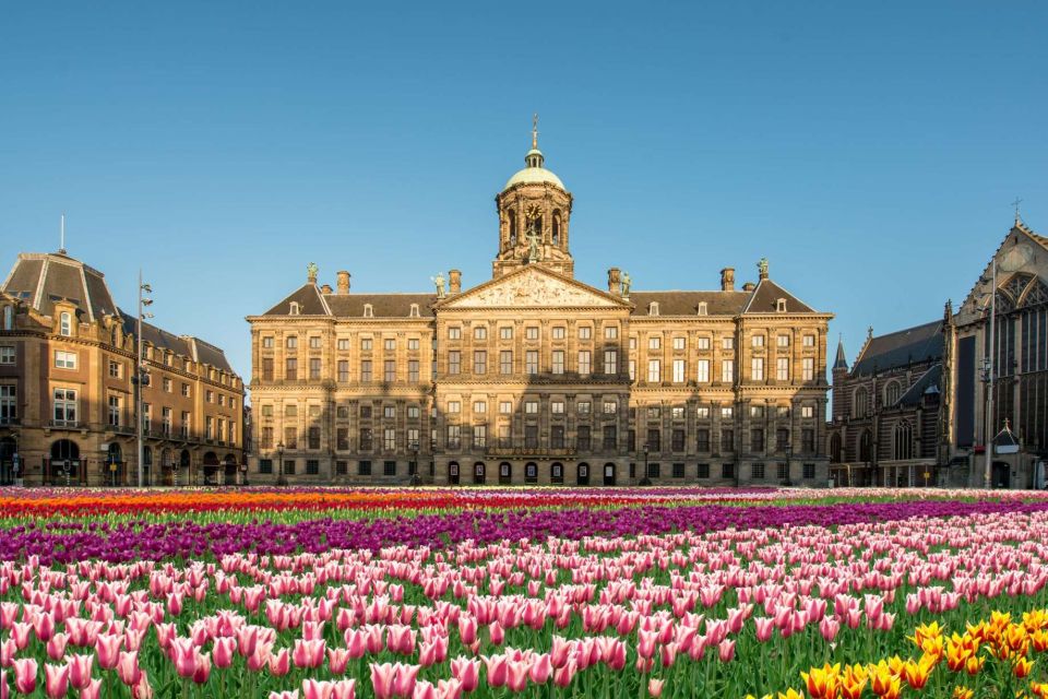 Top Skydeck Fast-Track Tickets, Amsterdam Viewpoint Tour - Tour Details