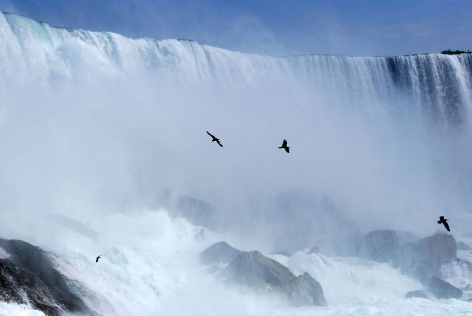 Toronto: Small-Group Niagara Falls Day Trip - Important Information