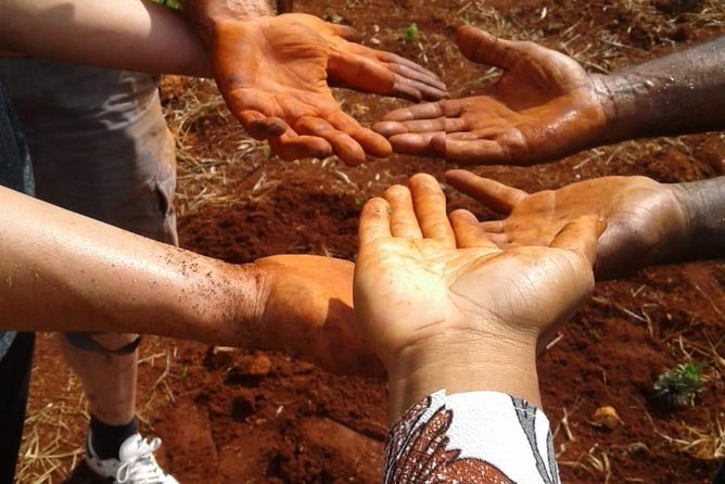 Tour a Jamaican Farm - Health and Safety Considerations