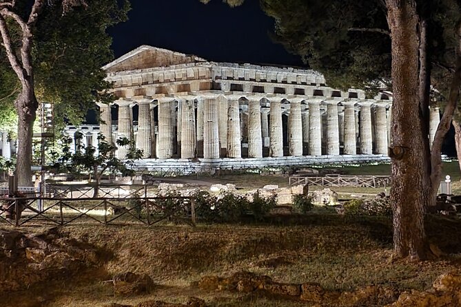 Tour at the Temples and the National Museum of Paestum - Accessibility Features