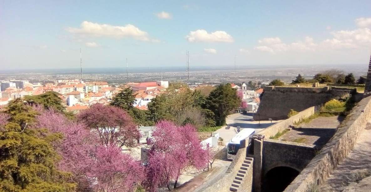 Tour of Arrábida and Beautiful Landscapes and Wine Tasting - Palmela Castle and Church