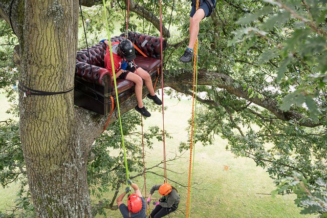 Tree Climbing Taster Session - Safety and Accessibility