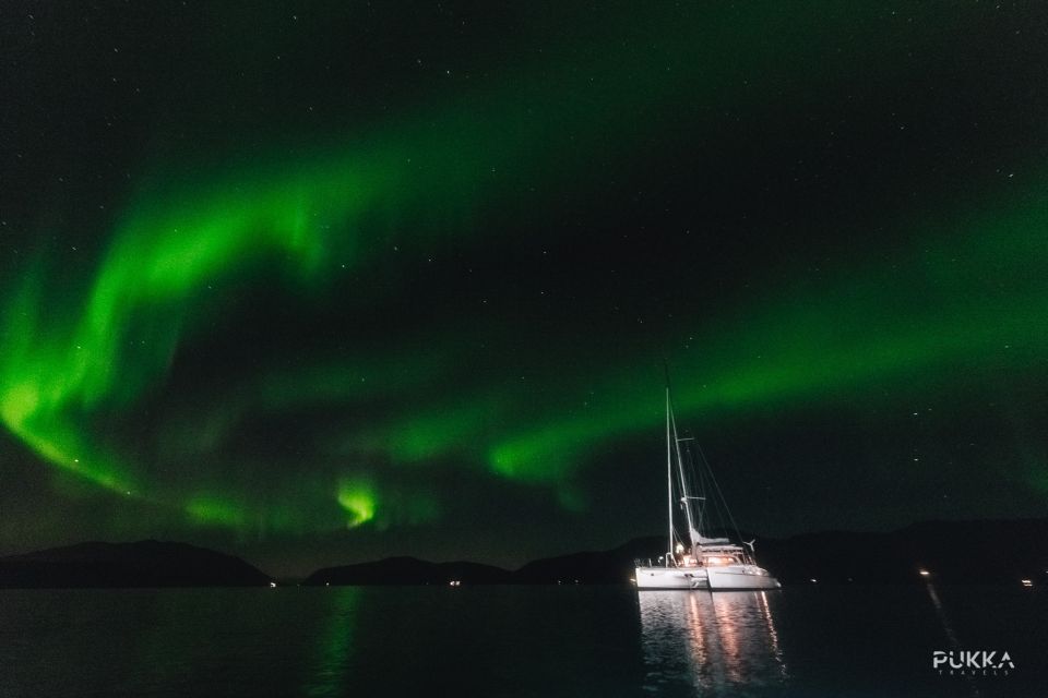 Tromso: 3-Hour Northern Lights Sailing Excursion - Tour Activities