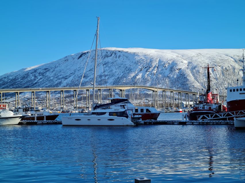 Tromsø: Arctic Fjord Sightseeing Cruise in Luxury Catamaran - Exploring Arctic Wildlife