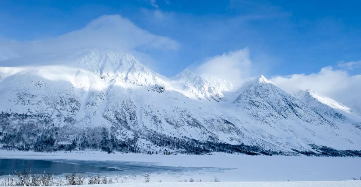 Tromsø: Arctic Landscape and Fjord Tour With Snacks - Scenic Viewpoints