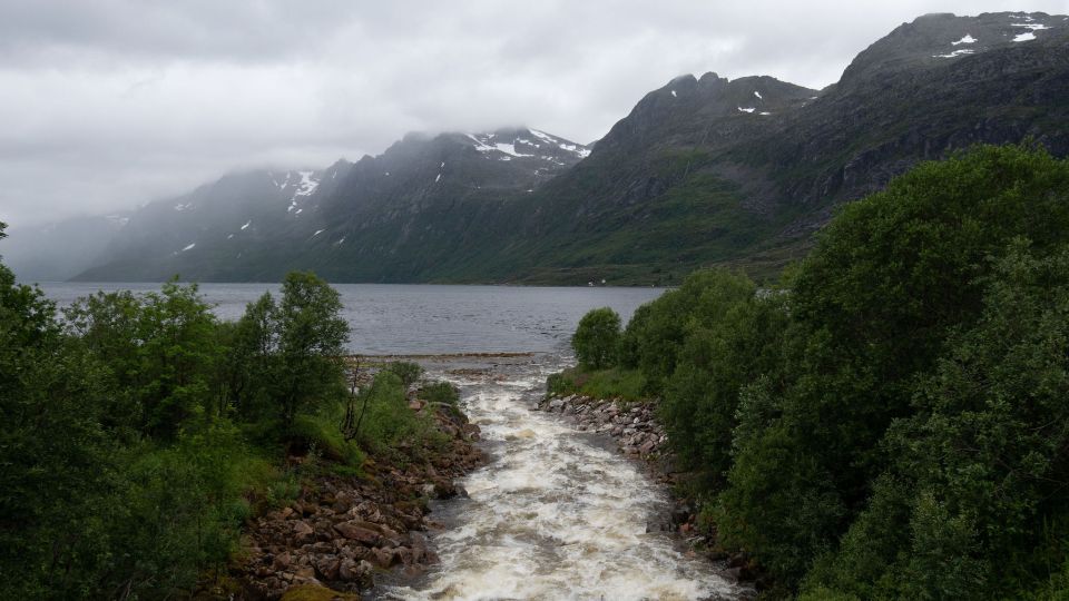 Tromsø: Arctic Landscapes Sightseeing With Citizen Science - Wildlife Spotting