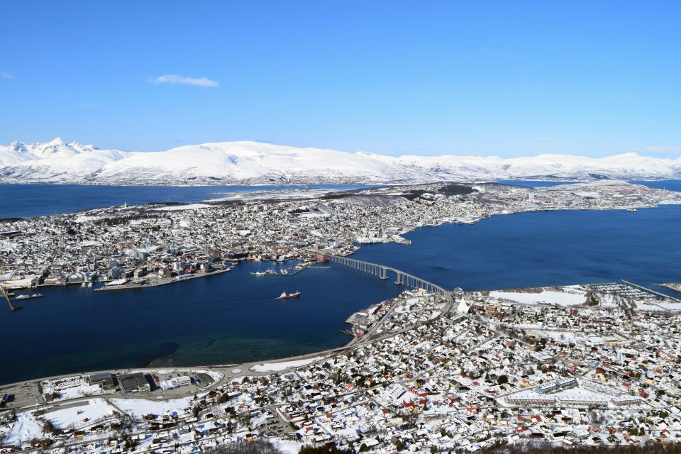 Tromso: Arctic Panorama Cable Car Excursion - Pricing and Booking