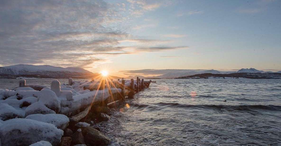 Tromsø: Arctic Sightseeing Tour & Citizen Science Project - Inclusions in the Tour