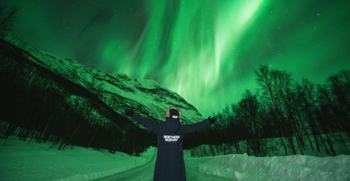 Tromsø: Aurora Borealis Chase With Guide, Meals & Campfire - Importance of Minimum Participants