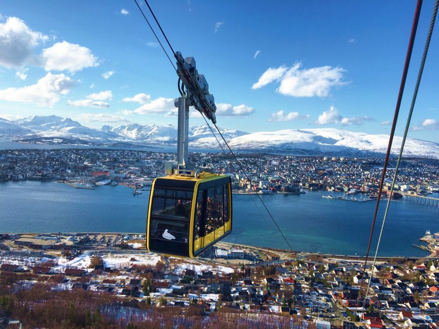 Tromso: Northern Lights Cable Car Excursion - Cable Car Ride Experience