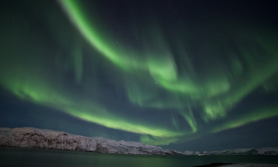 Tromsø: Northern Lights Guided Bus Tour - Included in the Tour