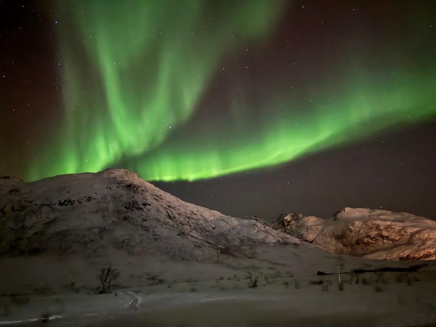 Tromsø: Northern Lights Tour With Hot Food and Drinks - Keeping Warm and Cozy