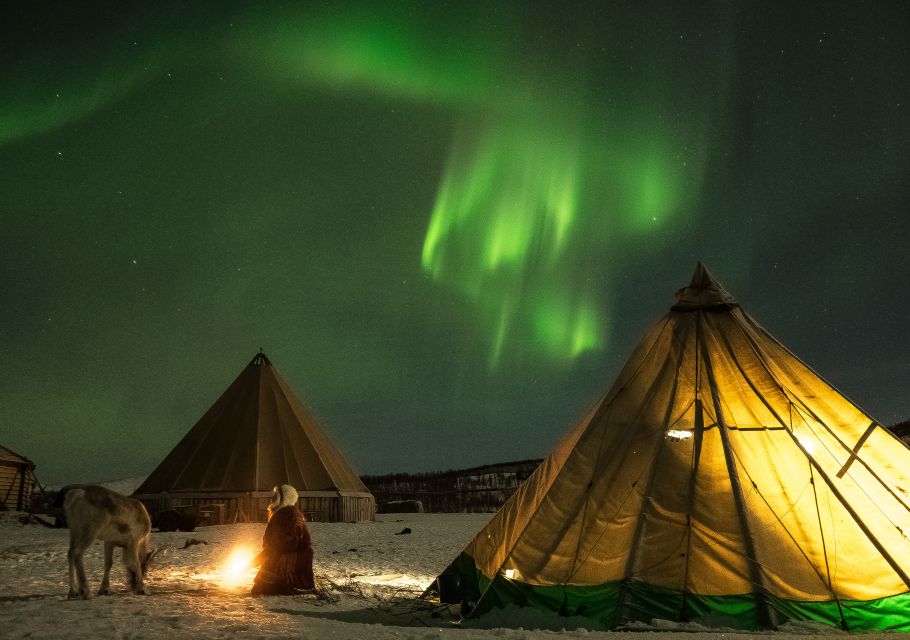 Tromsø: Reindeer Feeding With Chance of Northern Lights - Meeting Point and Pickup