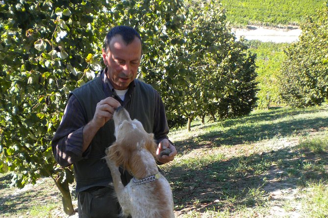 Truffle Hunt & Barolo Wine Tasting - Meeting and Return Logistics