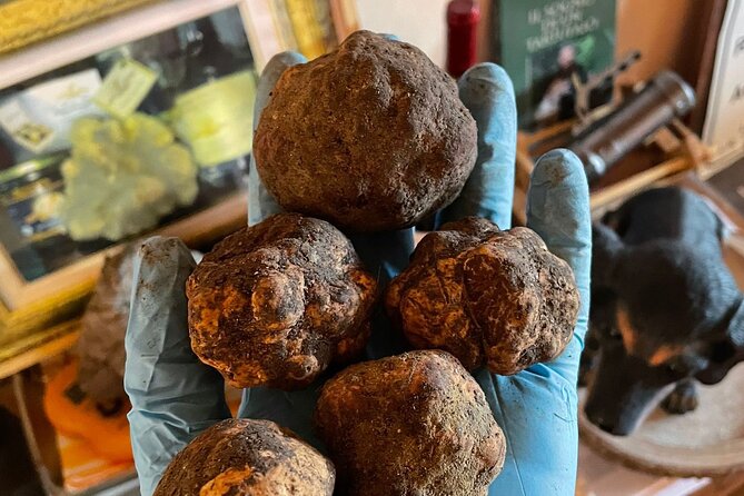 Truffle Hunting With Food Tasting - Pricing and Cancellation