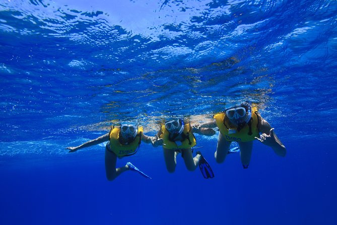 Turtle Canyons Snorkel Excursion From Waikiki, Hawaii - Customer Feedback