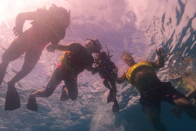 Turtle Snorkeling Adventure in Waikiki (Boat Tour) - Health and Safety Information