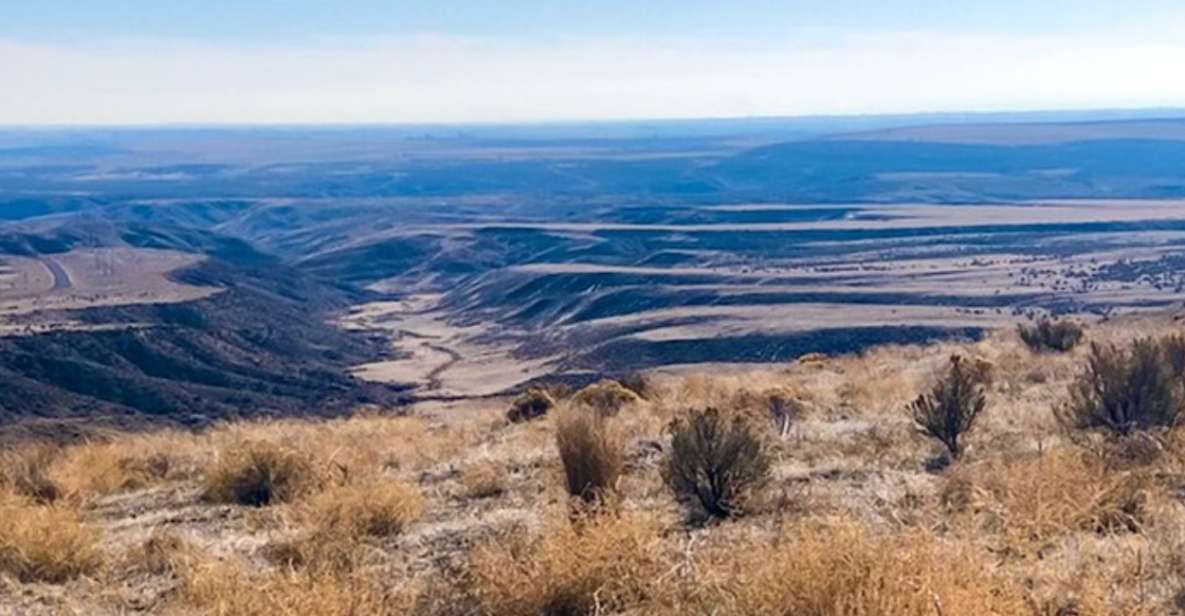 Twin Falls: Off the Beaten Path Guided Half-Day Tour - Earl M. Hardy Box Canyon Springs