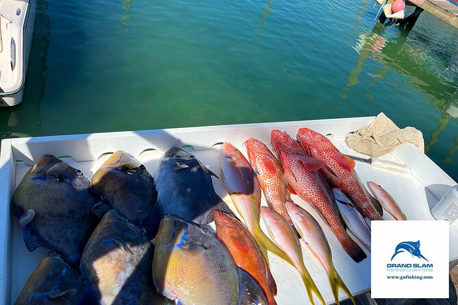 Ultimate Fish, Snorkel & Cruise 3/4 Day - Operator and Charters