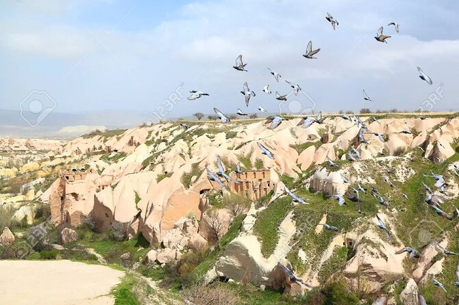 Underground City Plus Fairychimneys Tour - Inclusions