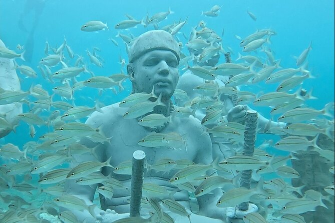 Underwater Sculpture Park Snorkel Adventure - Participant Requirements