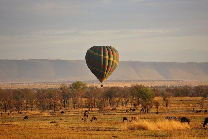 Unforgettable Tanzania Safari And Zanzibar Beach - Comfortable Ride With Amenities