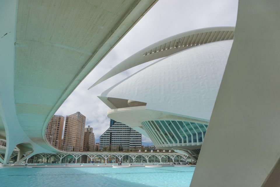 Valencia: Capture the Most Photogenic Spots With a Local - What to Expect During the Tour