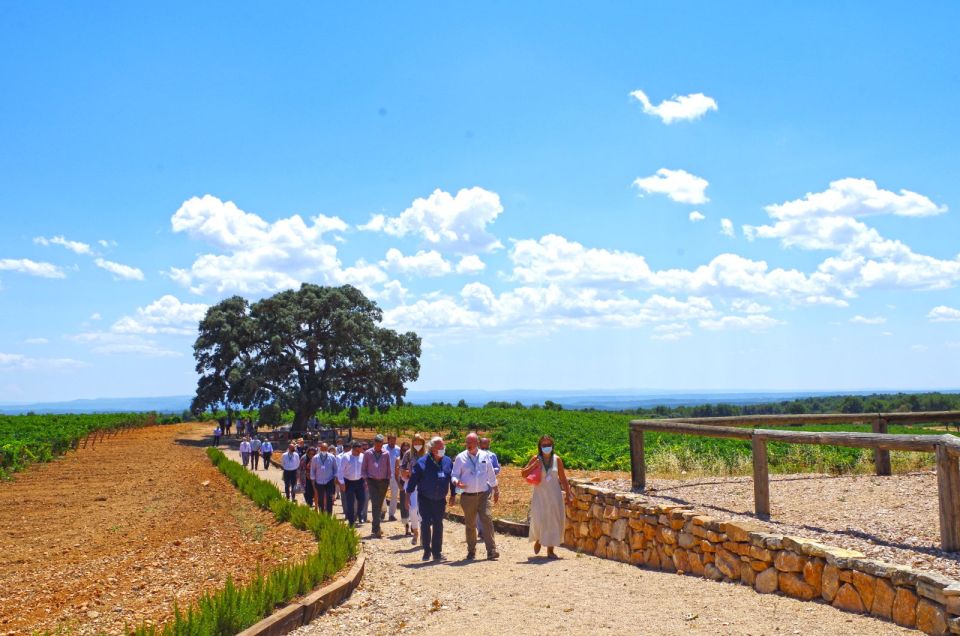 Valencia: Winery Visit With Vineyard Tour & Wine Tasting - Detailed Itinerary