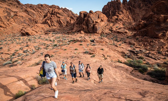 Valley of Fire Guided Hike From Las Vegas - What to Expect