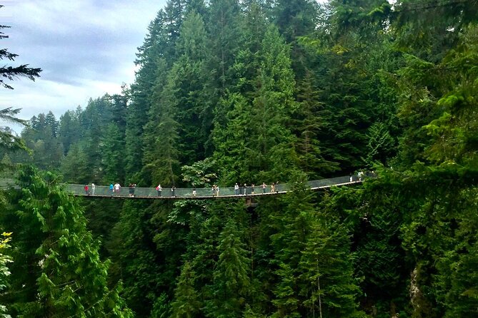 Vancouver Capilano Canyon Light and Peak of Christmas in Grouse Mountain - Cancellation Policy