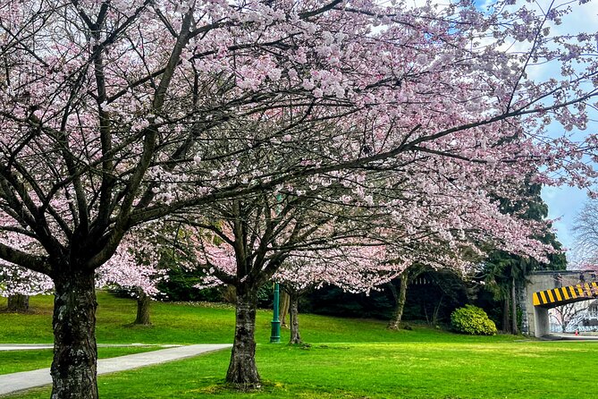 Vancouver City Tour With Cherry Blossom Festival Private - Private Transportation and Pickup