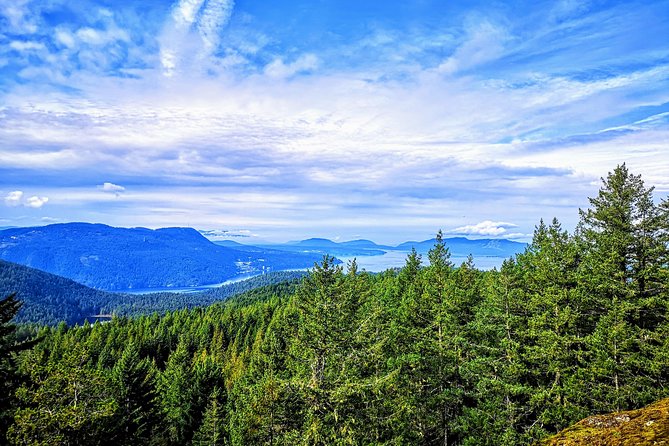 Vancouver Island Rainforest Guided Hike With Private Guide - Cancellation Policy