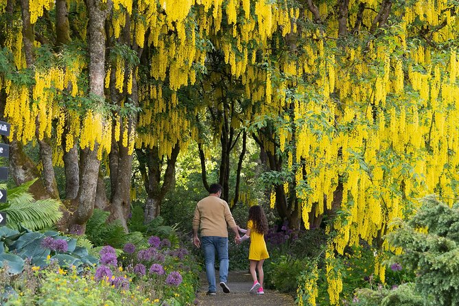 VanDusen Botanical Garden Admission Ticket - Visitor Information and Accessibility