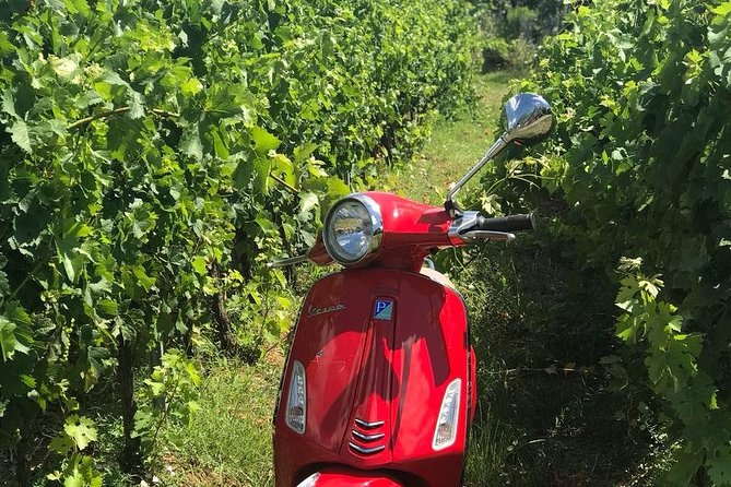 Vespa Tour With Lunch&Chianti Winery From Siena - Visiting Chianti Winery