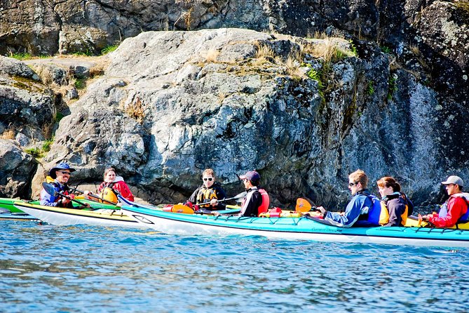 Victoria Harbour Kayak Tour - Tour Details and Logistics