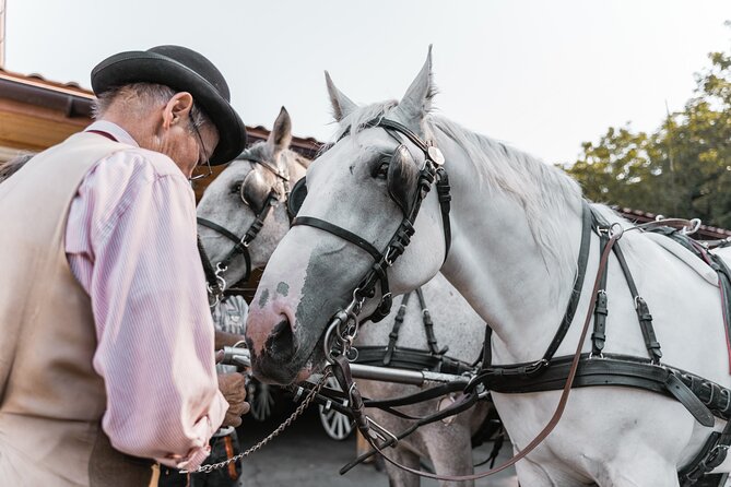 Vienna Horse-drawn Carriage Guided Tour - Additional Information