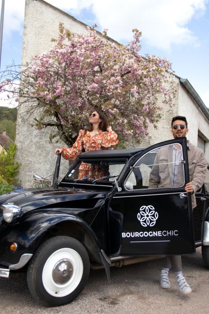 Vineyards of Beaune in a 2CV With a Picnic - Picnicking in the Vineyards