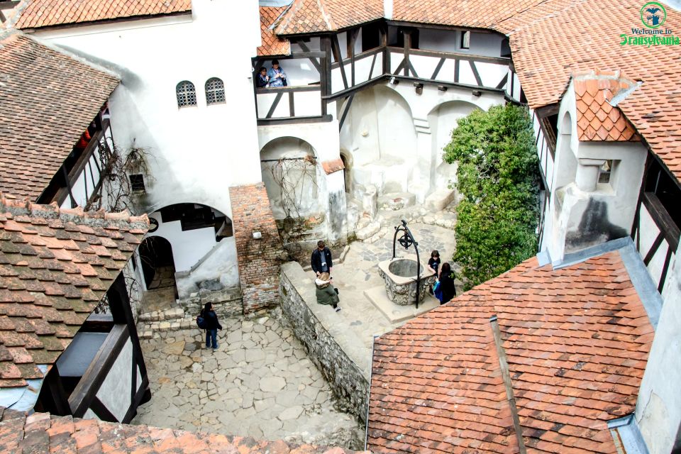 Visit Bear Sanctuary and Bran Castle From Brasov - Inclusions