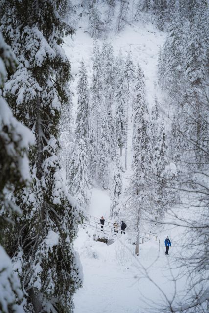 Visit to the Frozen Waterfalls of Korouoma - Unforgettable Arctic Adventure