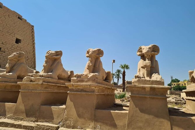 Visit Valley of Kings ,Karnak & Hatshepsut Temples From Hurghada - Booking Information