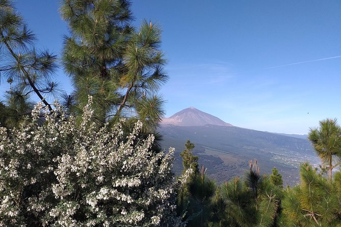 Volcano Teide National Park And North Of The Island VIP TOUR - Dress Code and Dietary Options