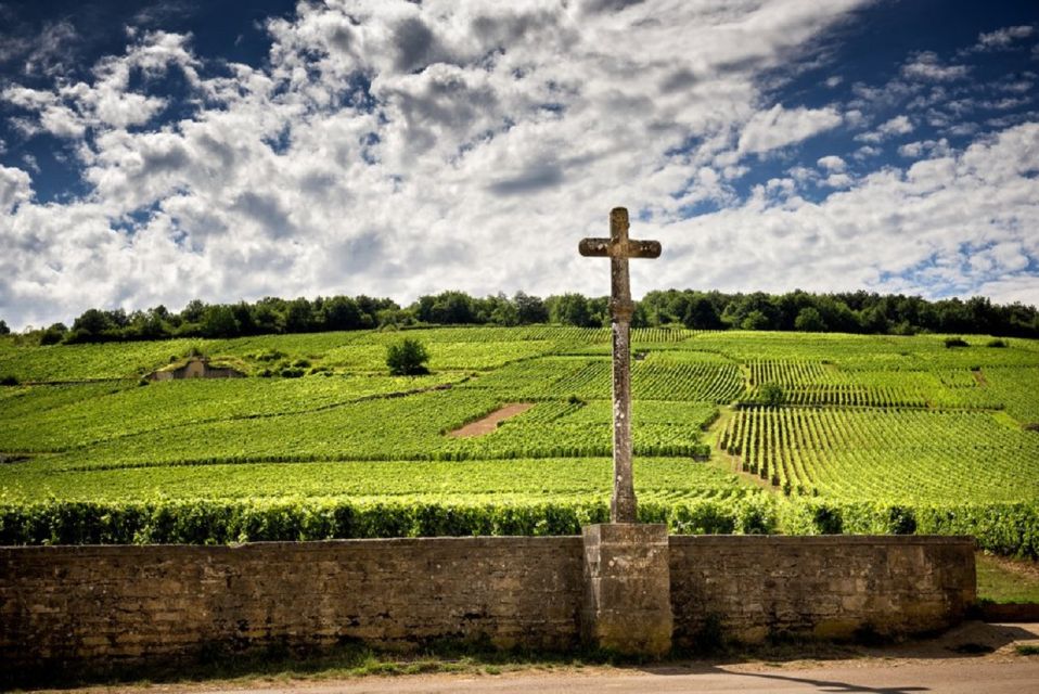 Vosne-Romanée: Private Vineyards Walking Tour With Tasting - Renowned Wine Vineyards