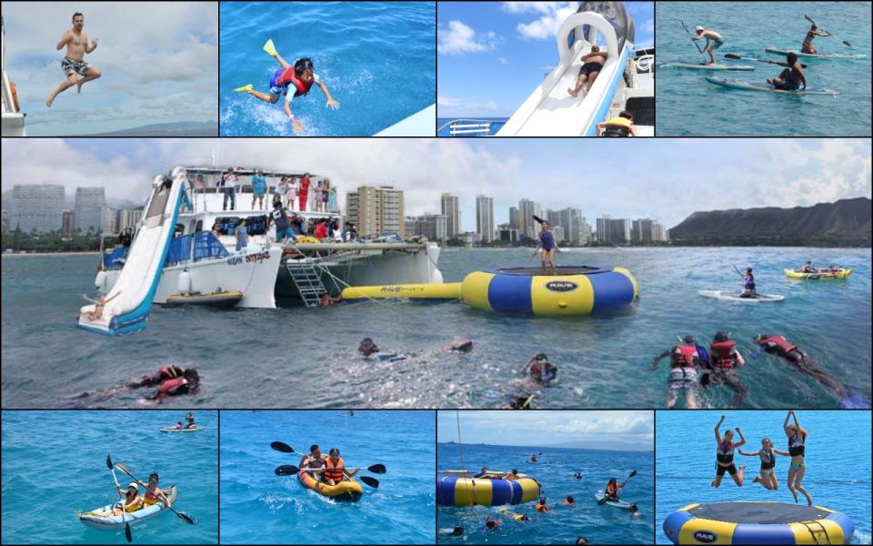 Waikiki: 5-In-1 Turtle Snorkeling Trip With Transfer - Experience Highlights