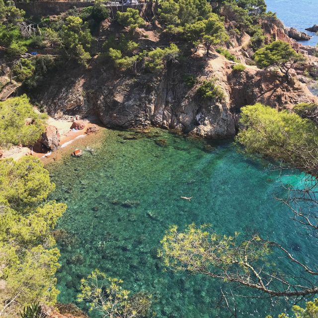 Walking Costa Brava Coves, Beaches & Famous Fishing Village - Itinerary Details