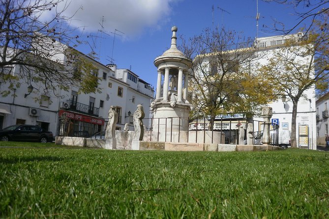 Walking Tour in the Historic Center of Elvas - Pricing and Booking Options