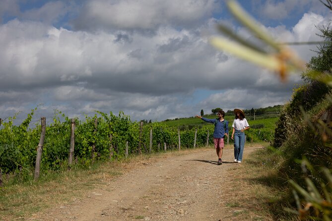 Walking Tour of Chianti Classico With 3 Organic Wine Tasting and Lunch - Guided by Local Expert