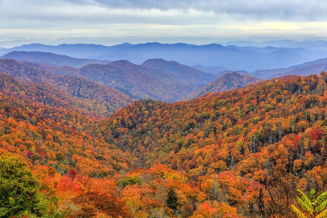 Waterfalls and Blue Ridge Parkway Hiking Tour With Expert Naturalist - Scenic Panoramas