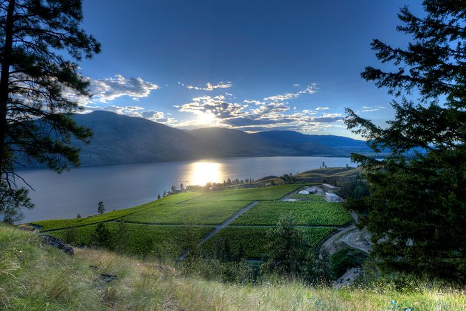 West Kelowna Tour From Vernon - Classic - 6 Wineries - Accessibility and Accommodations